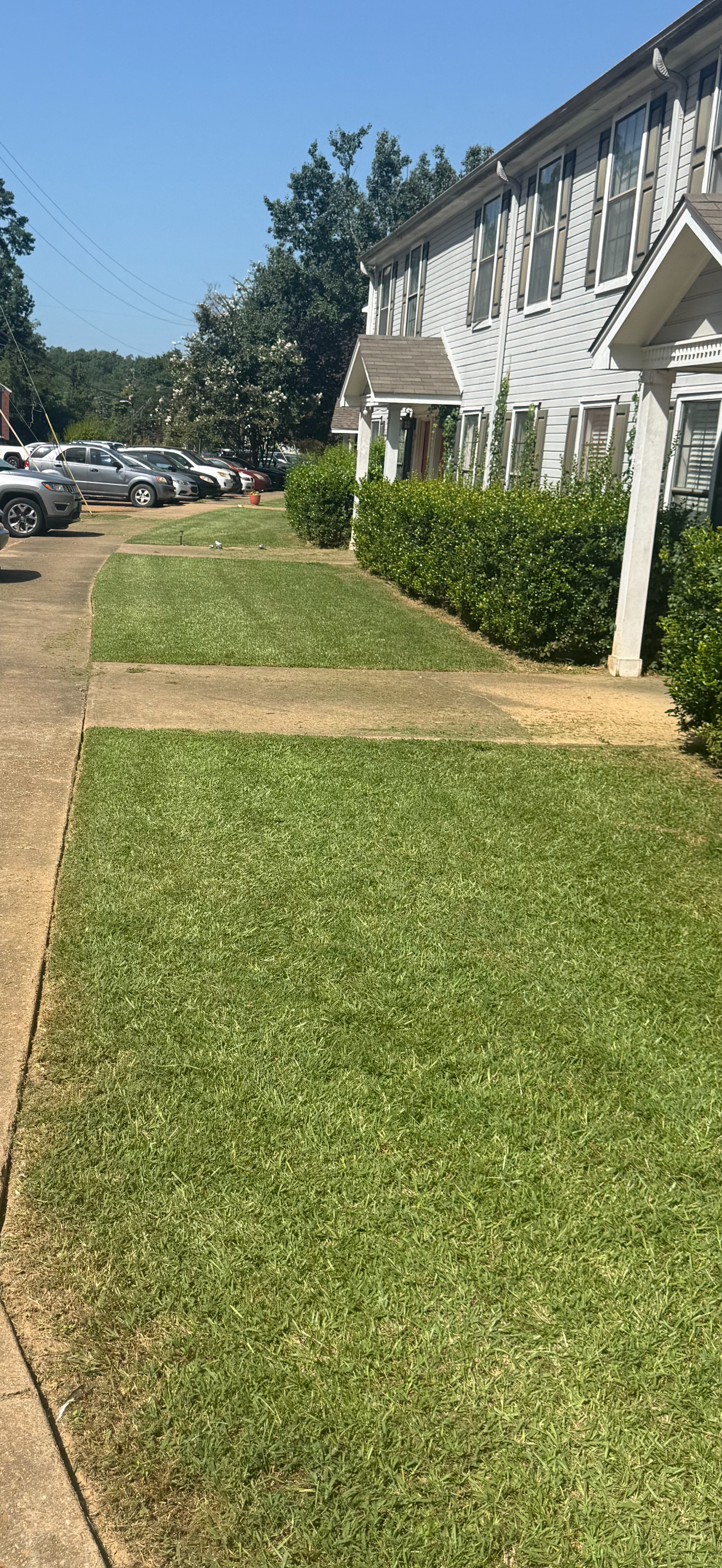 Maintained grass and trimmed hedge line at a commercial property